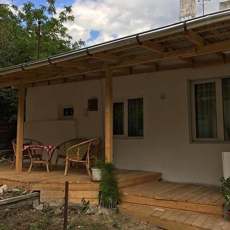 Casa Oprea Villa Sinaia Eksteriør bilde